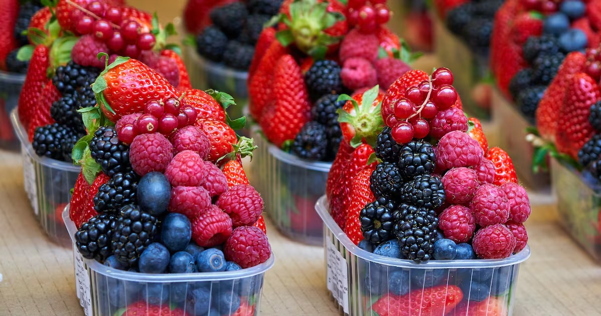 Los frutos rojos marroquíes refuerzan su presencia en el mercado noruego
